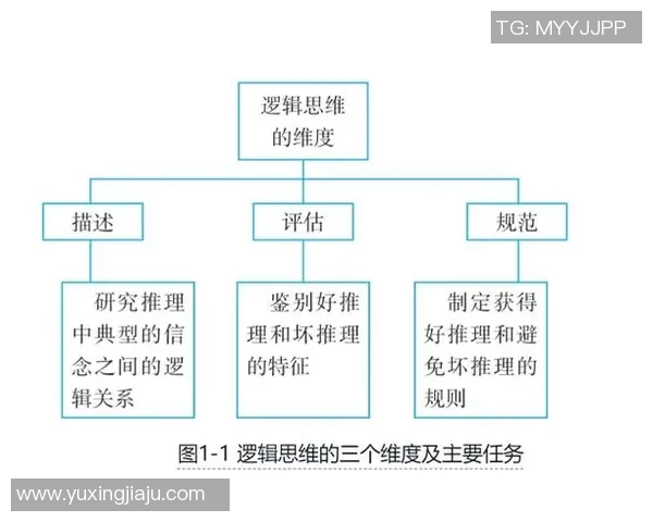 如何通过优化思维方式提高个人决策能力和问题解决效率