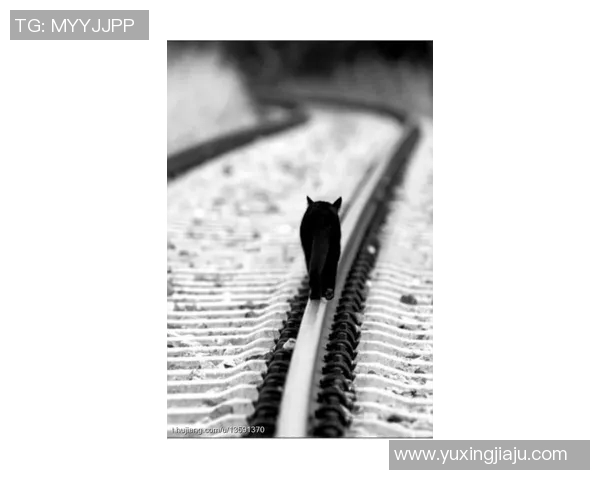 滑板与人生的交响曲：周敏的深度对话与成长旅程